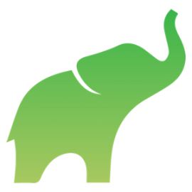 Zelený Slon