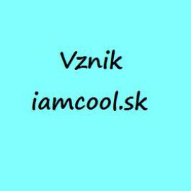 Vznik iamcool.sk