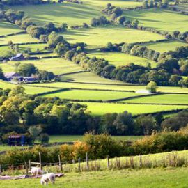 Herefordshire